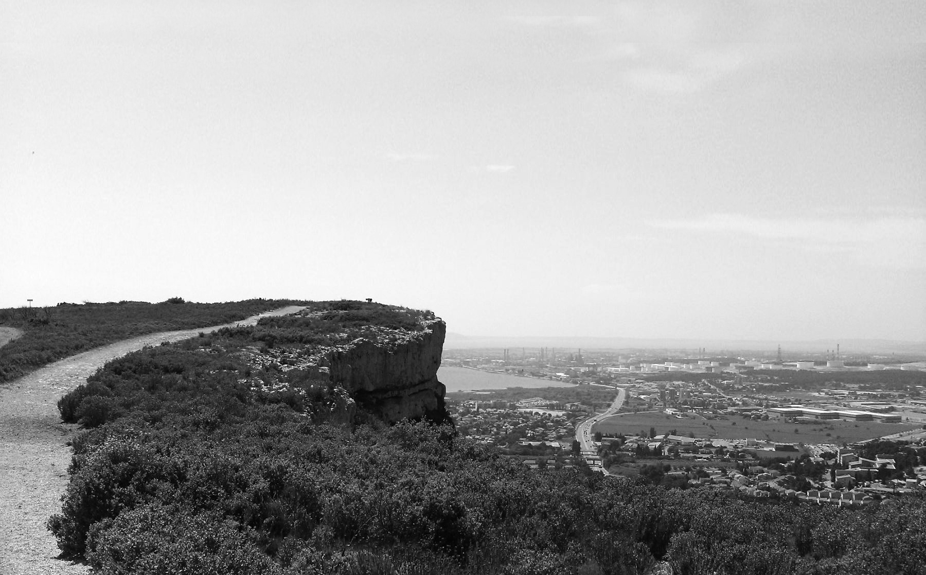 mt-home2-1200x630-crop-1-jpg